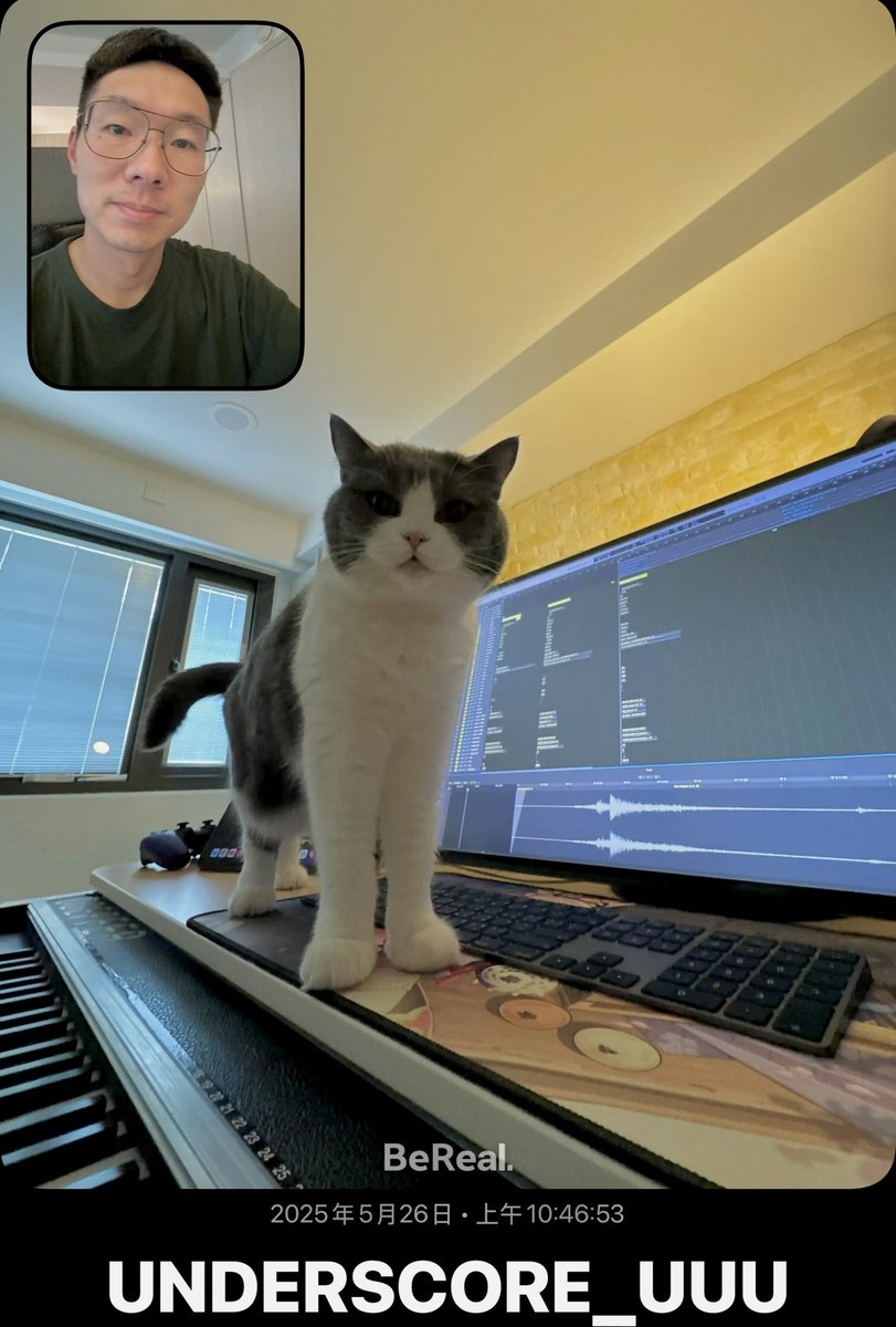 Rushing a last-minute sound effect task. #MusicDaily #Compose #Music #Producer #SoundDesigner #GameComposer #gamemusic #gameaudio #unclearranger #cat #cats #BritishShorthair #British #Shorthair