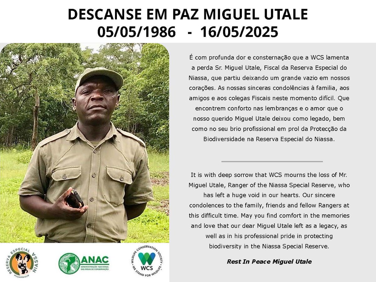 É com profunda dor que a WCS lamenta a perda Sr. Miguel Utale, Fiscal da Reserva Especial do Niassa, que partiu deixando um grande vazio em nossos corações.

As nossas sinceras condolências à familia, aos amigos e aos colegas Fiscais neste momento difícil.