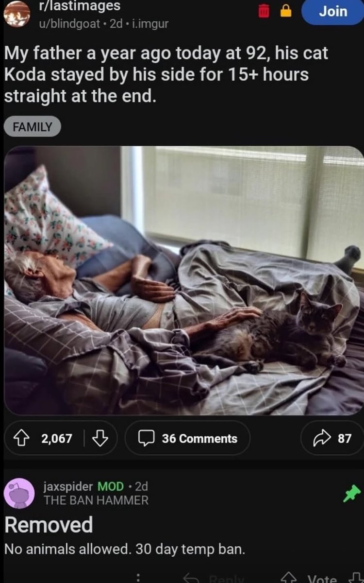 Images AI Could Never Recreate (@imagesaicouldnt) on Twitter photo 