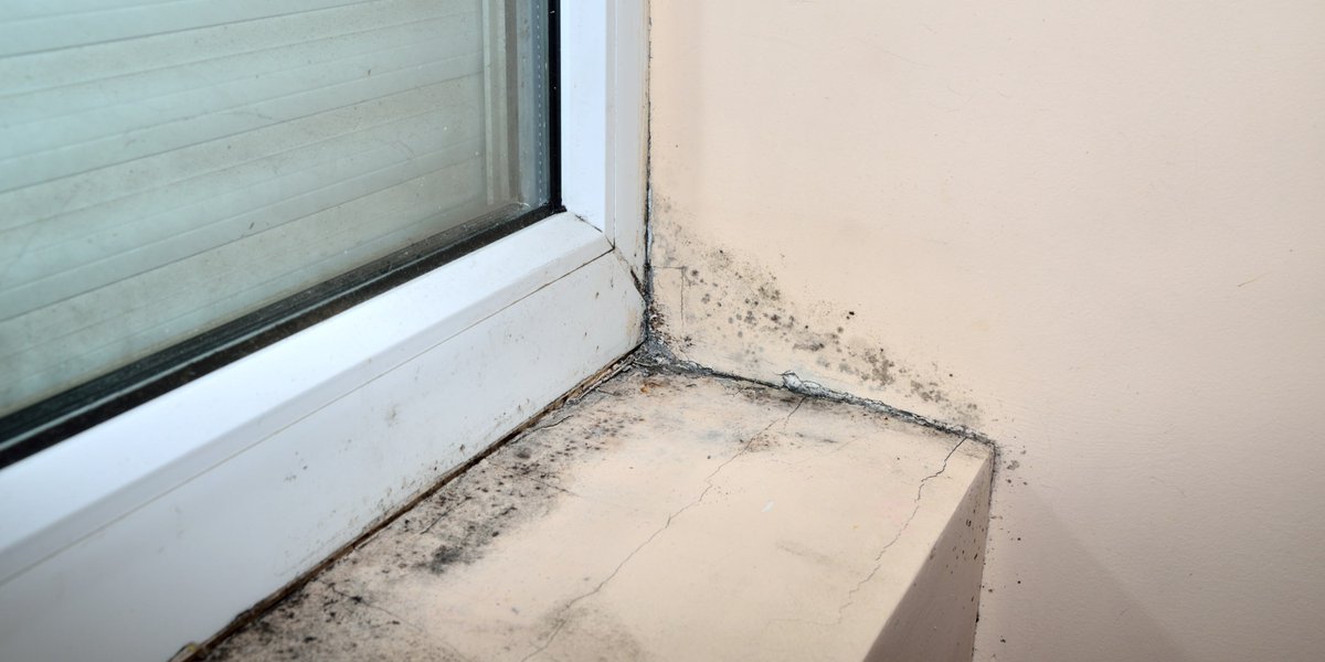 Het Energiecafé Oost op dinsdag 3 juni gaat over het 'Voorkomen van schimmel!' Een vochtig huis waar muren zwart worden van de schimmel is ongezond om in te leven. 

Tijd: 20:00 uur in De Wilg, Meckelenburglaan 3-5.

Meer informatie over Energieteam Oost: oostvoorelkaar.nl/project/10402/…