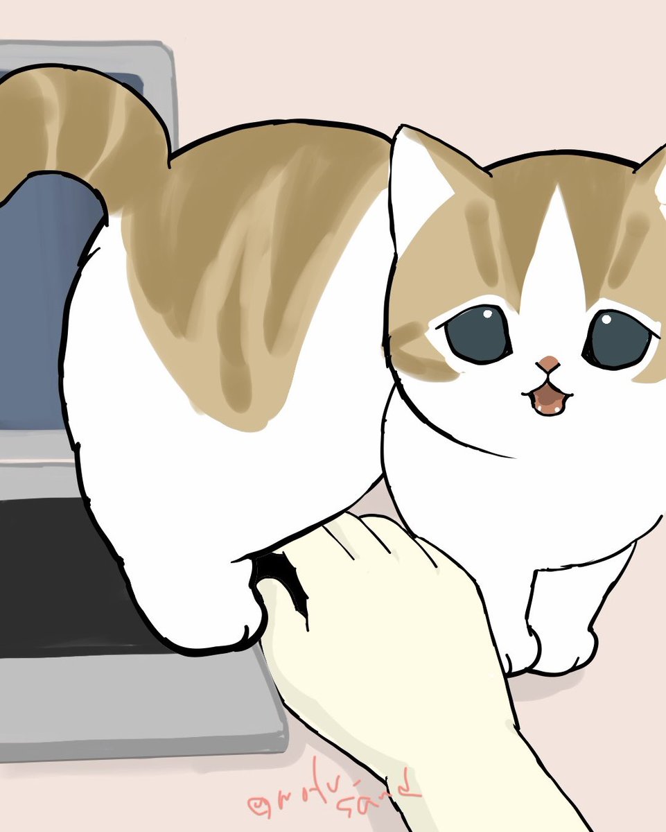 Post by ぢゅの🐈 on X: かまってーな