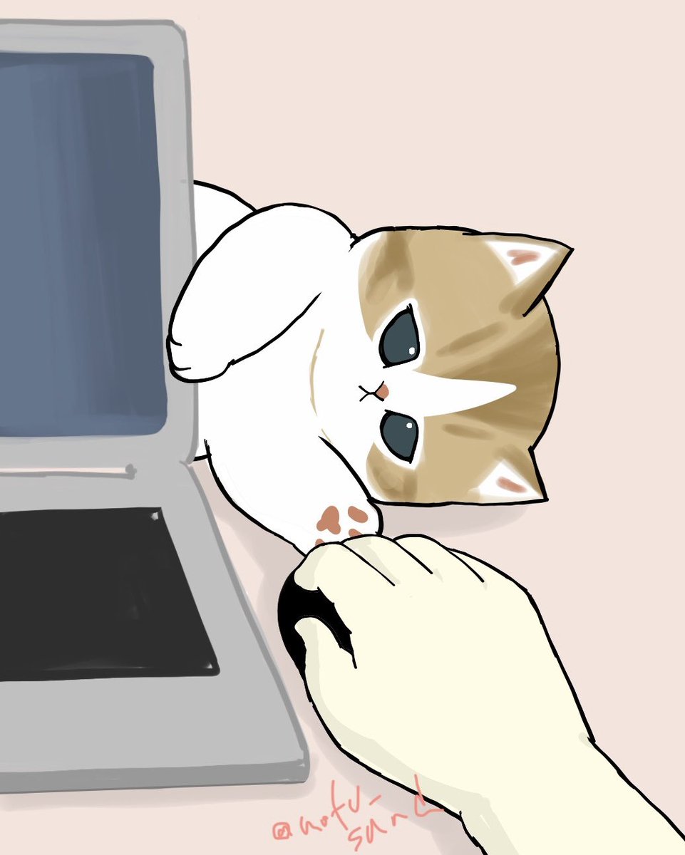 Post by ぢゅの🐈 on X: かまってーな