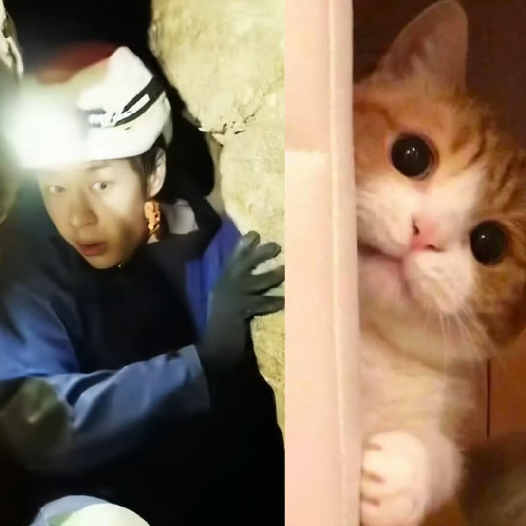 BailiRose98's tweet photo. So cuteeeee 
#WangYibo https://t.co/mlLZxFS3ZS