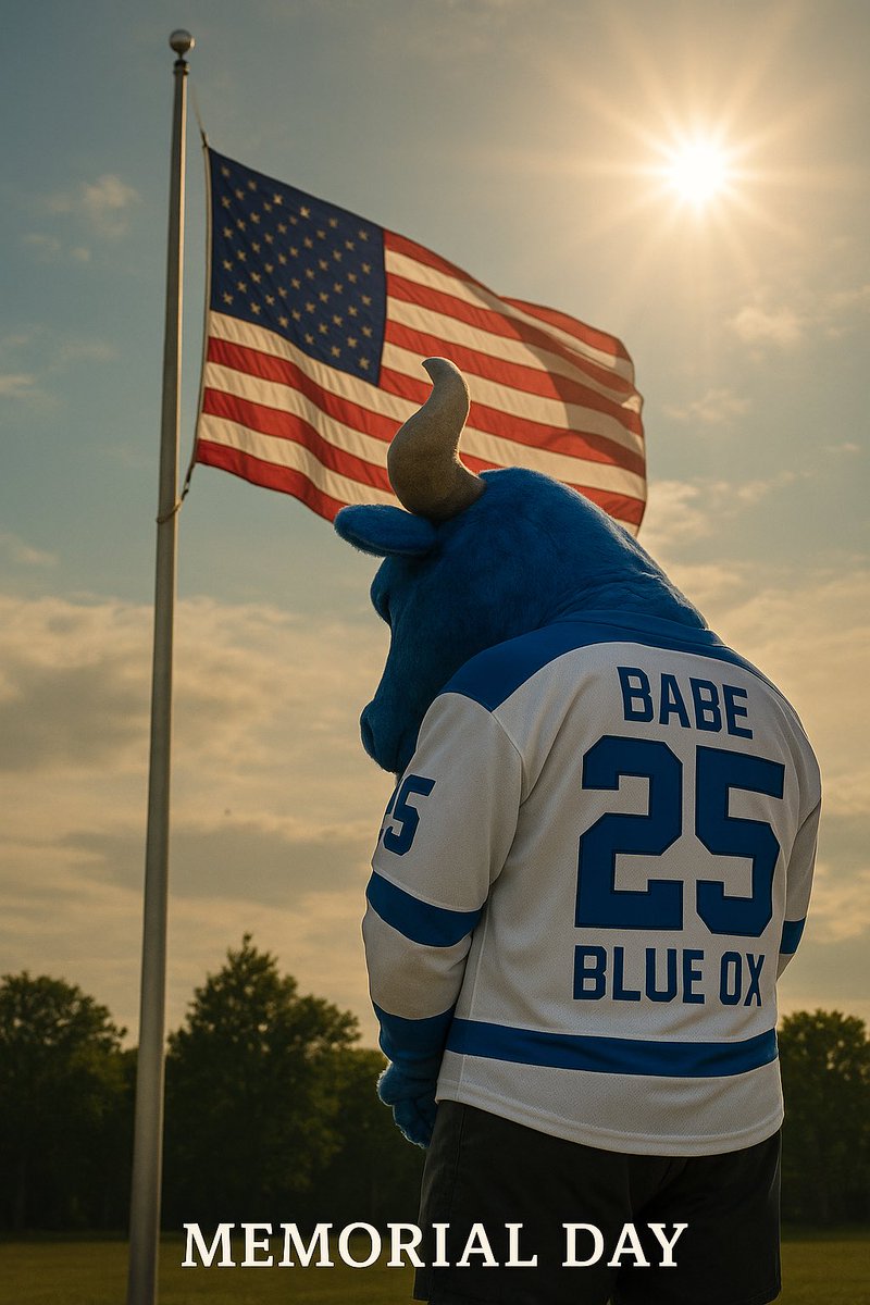 therealblueox's tweet photo. Today ain’t about hockey.

It’s about the brave souls who gave everything so the rest of us can lace up our skates, cheer for our TEAMs, and live free.

From the bottom of this big blue heart, thank you to those who made the ultimate sacrifice. We remember you. We honor you. https://t.co/gpJtzzMbTv