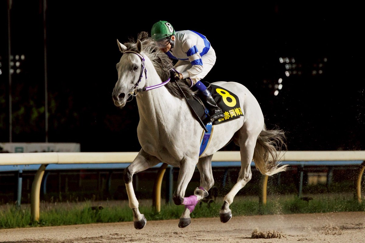 総合優勝者決定！】2025年地方競馬ジョッキーズチャンピオンシップは第