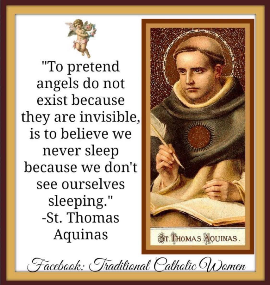 The Church Militant (@johnandrewdors3) on Twitter photo 