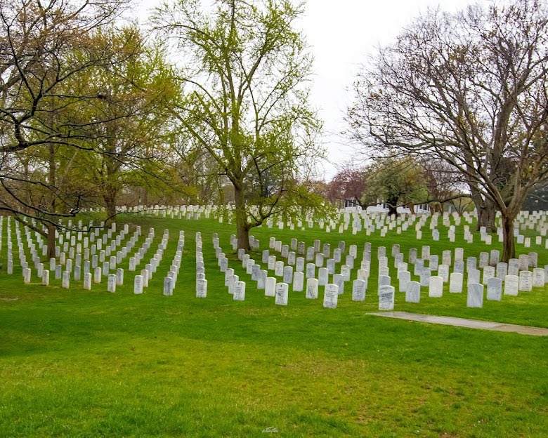 JDC3618's tweet photo. This #MemorialDay, we remember the heroes who gave their lives for our freedom.

One nation, forever grateful.

#HonorTheFallen #NeverForget https://t.co/dOfRiKgHdF