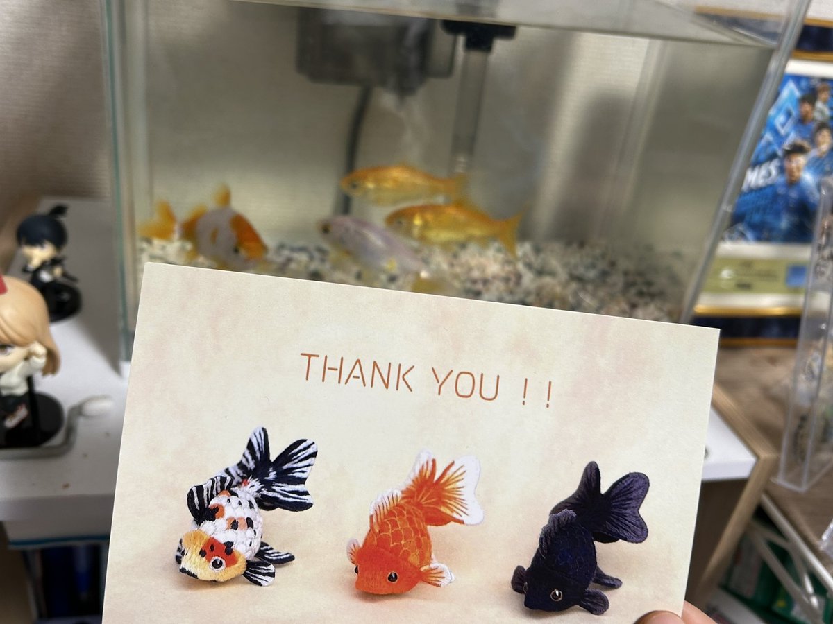 先日、<a href="/Lupopo_cafe/">*LUPOPO cafe&gallery* 三軒茶屋の糖質オフのケーキ専門カフェとハンドメイドのお店</a> さんにて開催されていた、あらいあさみさん(<a href="/_utura_utura_/">あらいあさみ/刺繍造形作家</a> )の個展へ
一つ一つ手作りでかわいらしい金魚がたくさんお出迎えしてくれてとても癒されました🥰
また展示会があったらぜひ行きたいです✨

4枚目は我が家の金魚たちといただいたポストカードを