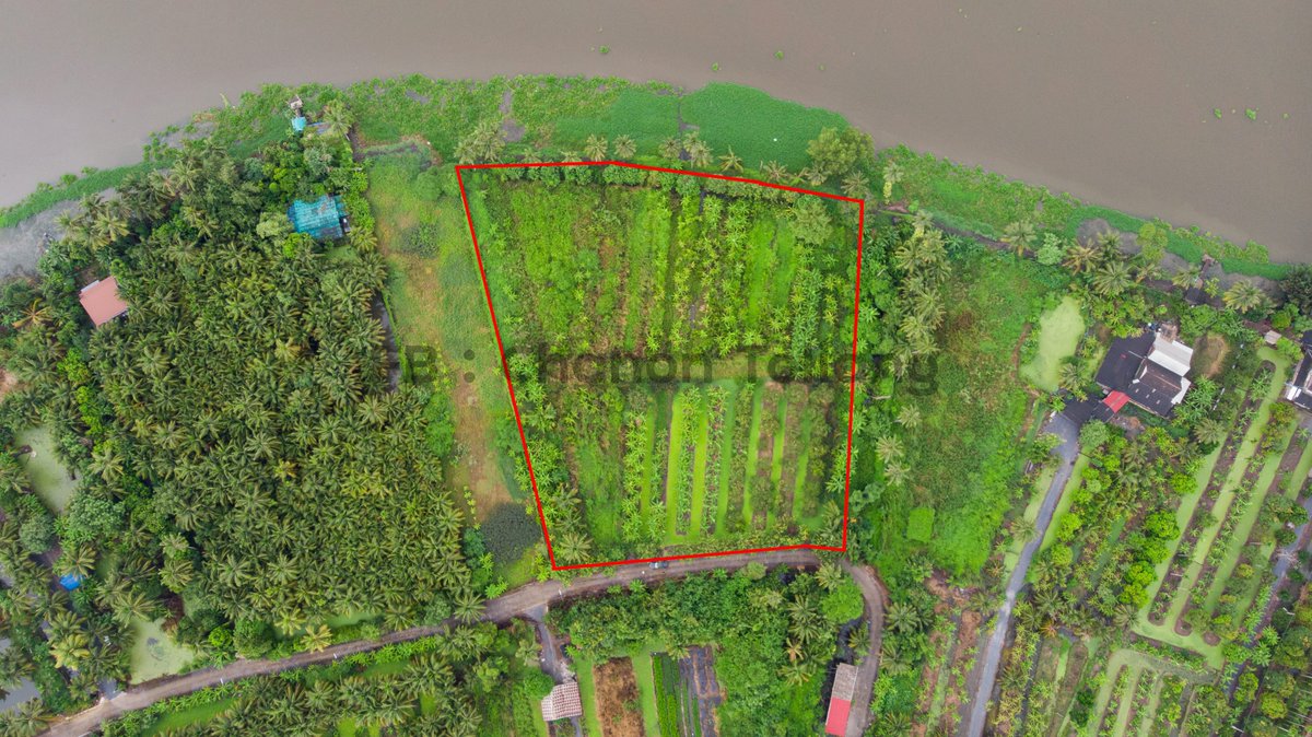 Tor Chanon 🐝 tweet media