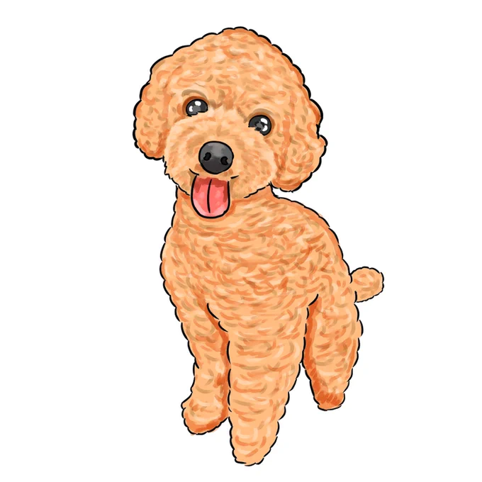 30分くらいで描いたトイプー 