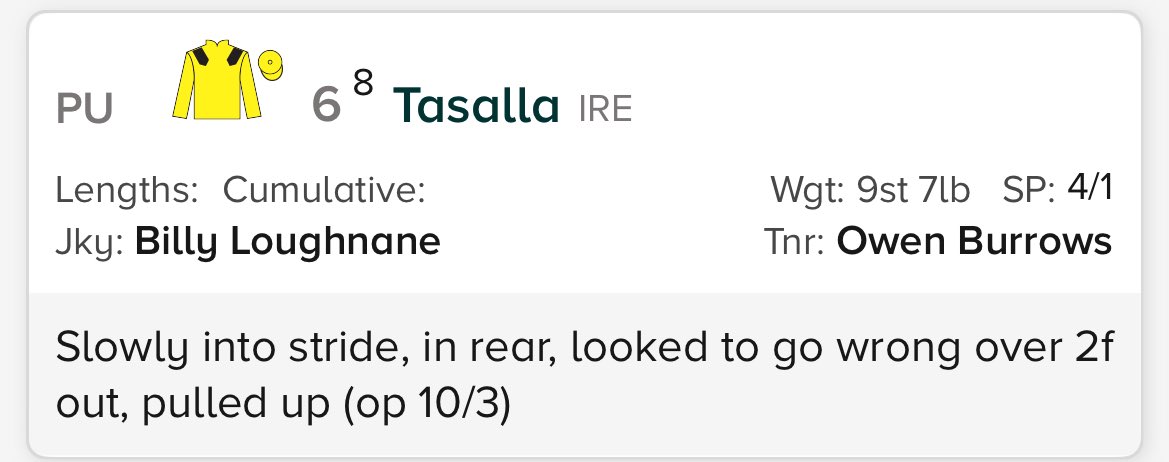Tasalla killed at Salisbury 24/5/25 #banhorseracing #YouBetTheyDie