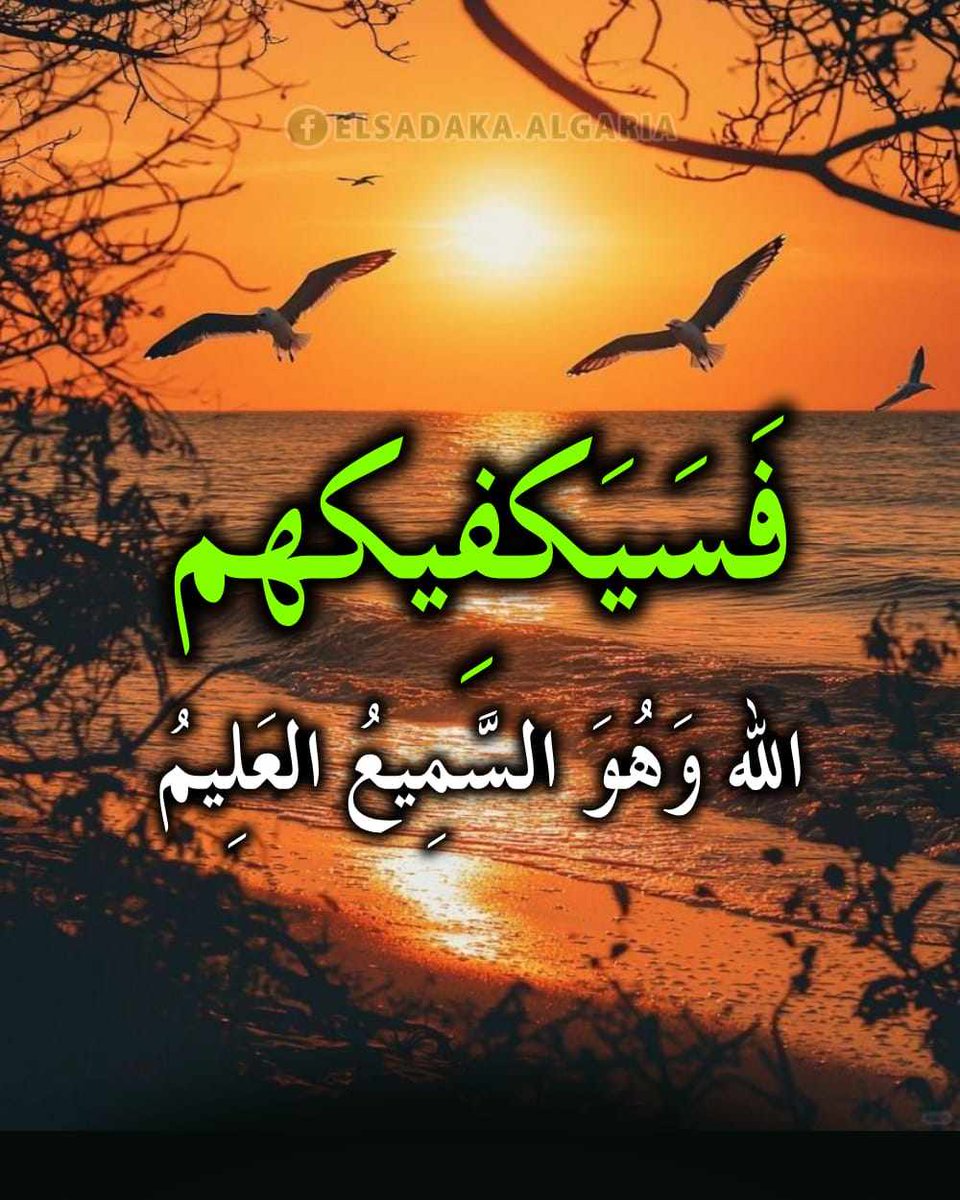 MayalNaje's tweet photo. https://t.co/4XOvOsi672