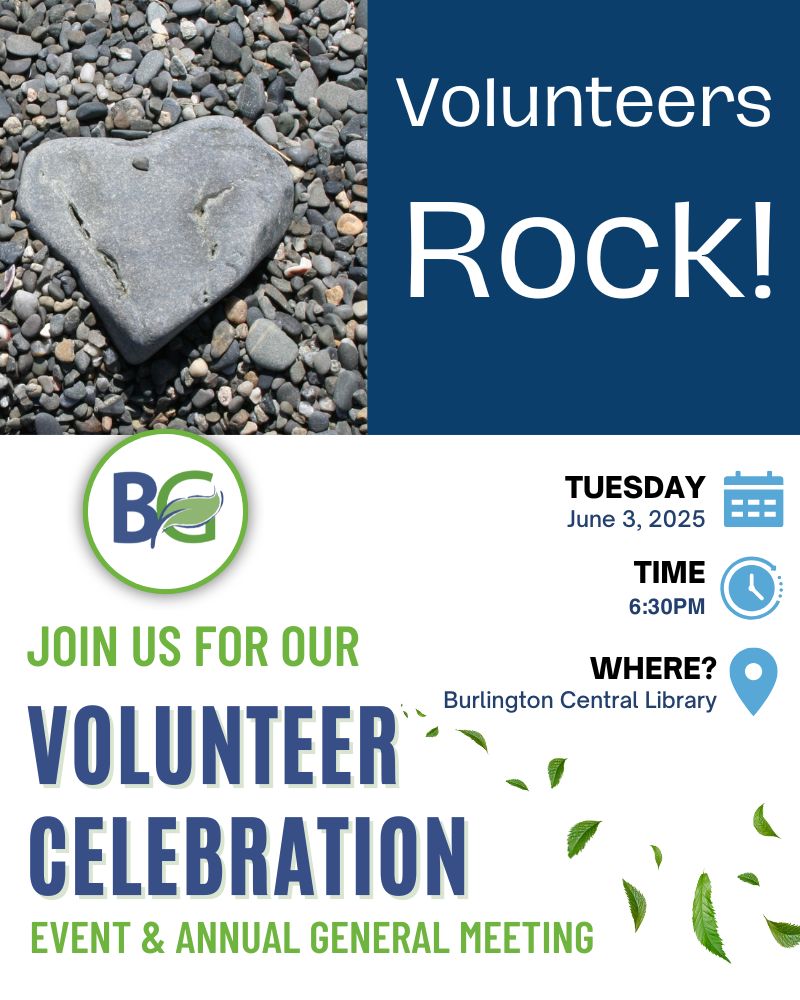You're invited! Volunteer Celebration &amp; AGM

Celebrate our amazing volunteers
Mark our BIG impact in 2024
Find opportunities for individuals, families and groups

Complimentary refreshments

Tuesday, June 3rd, 6:30 pm
Burlington Central Library

RSVP:
burlingtongreen.org/events/volunte…