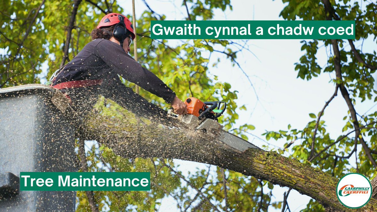 CaerphillyCBC's tweet photo. ⚠️Tree works are being carried out from Tuesday 27th May on the A468 from the Cedar Tree Roundabout (Caerphilly) to Crossways/Bedwas roundabout.

🚦Work is expected to take four days with traffic lights in use. https://t.co/XBa0WDXybl