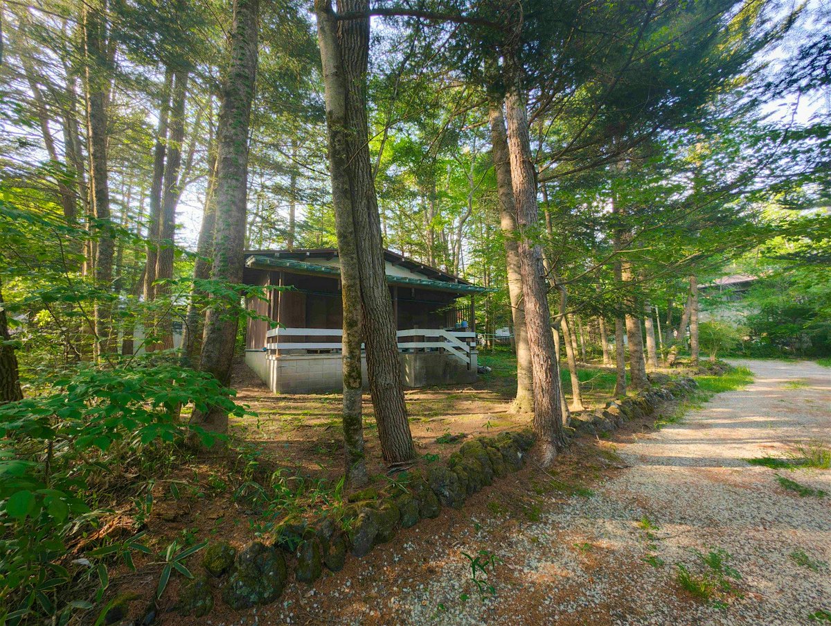 viilaco's tweet photo. 🏡【土地情報｜軽井沢】
📍中軽井沢エリア
中軽井沢 | 翠ケ丘 | 古家有142坪
国道18号線北側。緑溢れる別荘地の一角です。 https://t.co/fY2gBEtHmu