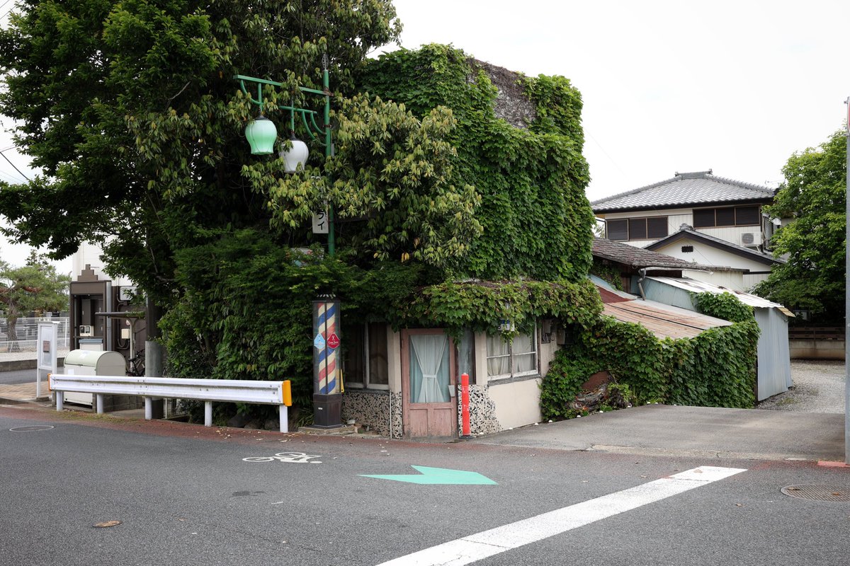 六 tweet media