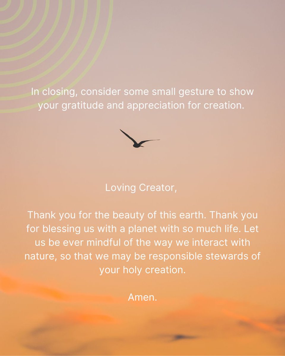 #Contemplation is a beautiful way to appreciate #creation and connect with the various creatures that surround us. Spend some quiet time with #nature to draw closer.

#laudatosiweek #laudatosimovement #peace