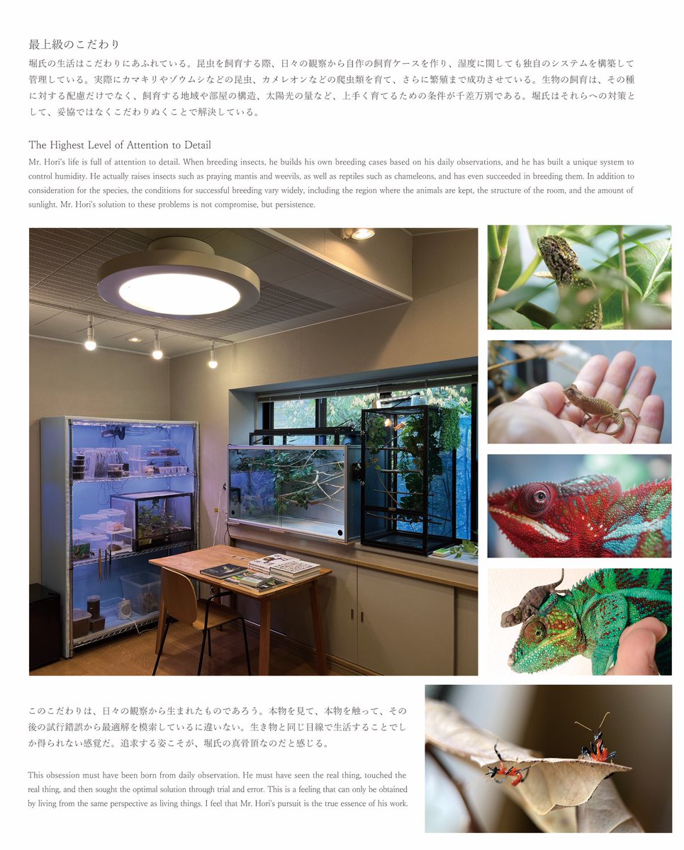 堀 貴春　ceramic artist tweet media