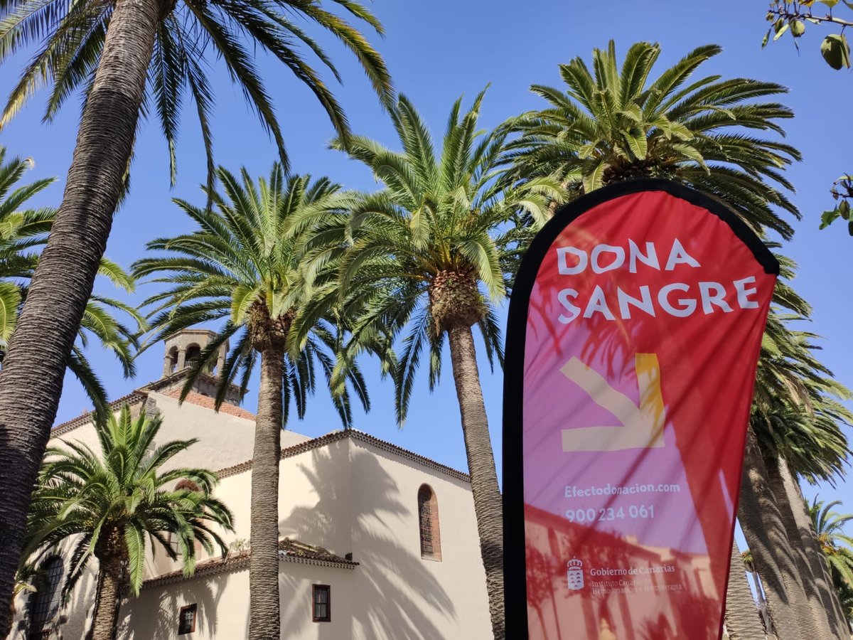 🩸 ¡Dona sangre esta semana en La Laguna!
📍 Unidades móviles en Av. El Paso (26-27 mayo) y Plaza de la Catedral (29 y 31 mayo).
🕘 Horarios amplios para que puedas ayudar.
Más info: ☎️ 900 234 061
#DonaSangre #SCS #LaLaguna #CanariasDona