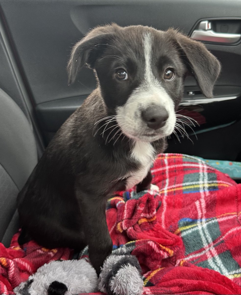 shitscaredmum tweet media