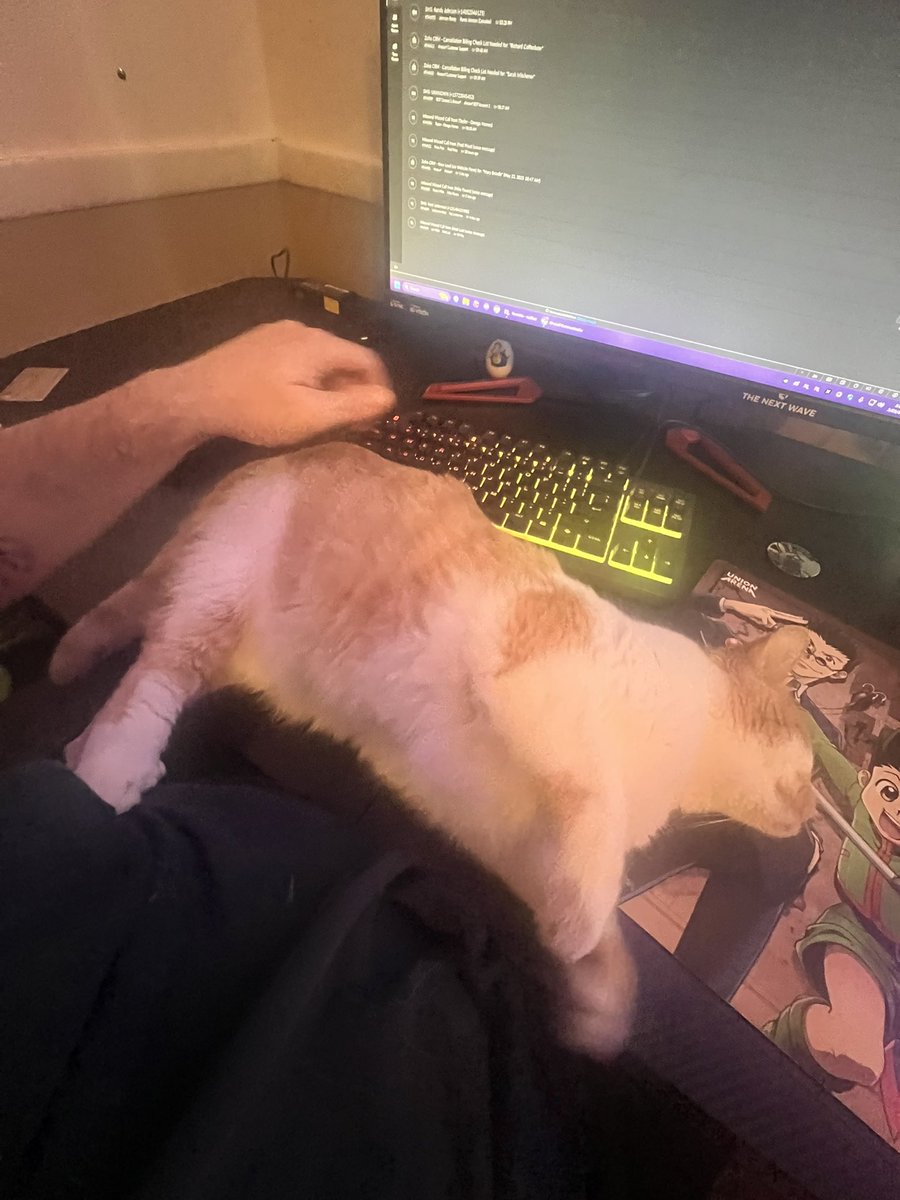 MixedEfforts's tweet photo. "bro did you just click your prayer tab? do you not use hotkeys?"

no dude if I take my hand off the cat I take chip damage irl https://t.co/EqLps3ntE0