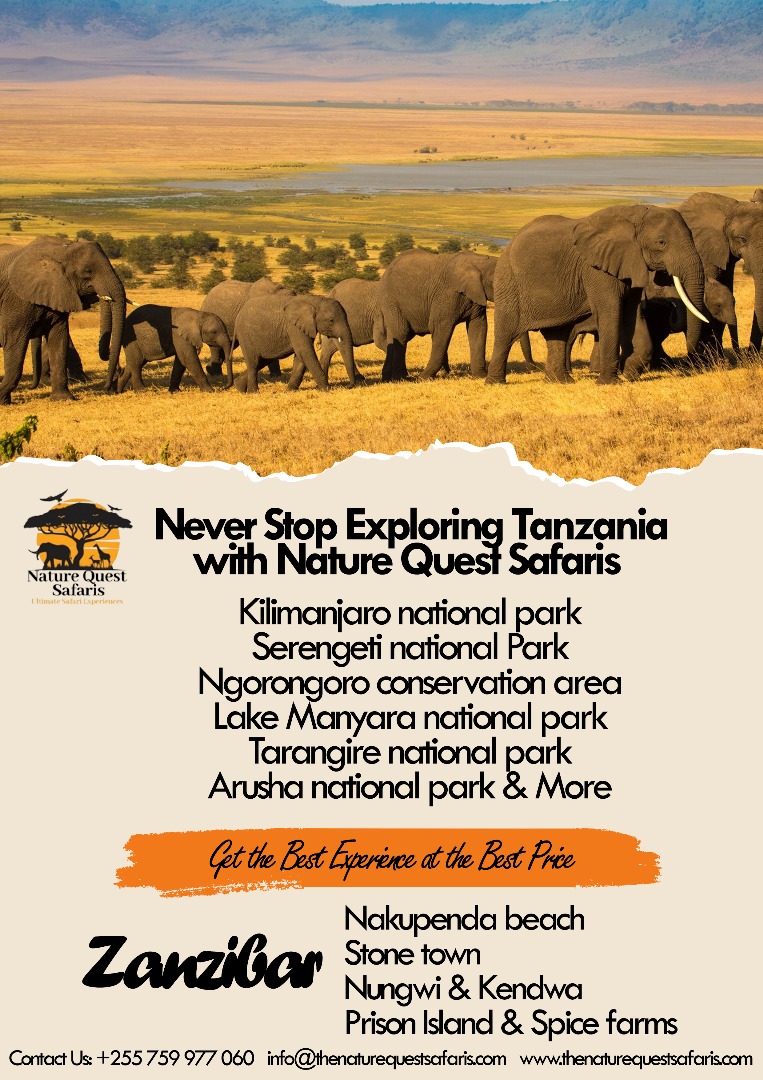Naturequesttz's tweet photo. ✨ Are You Ready for the Adventure of a Lifetime? 🌟
 With Nature Quest Safaris, you can explore incredible national parks, dive into vibrant cultures, and relax on stunning beaches.

👉 Share your dream destination in the comments!

#NatureQuest #ExploreNature #SafariLife https://t.co/kqEsP4RB4u