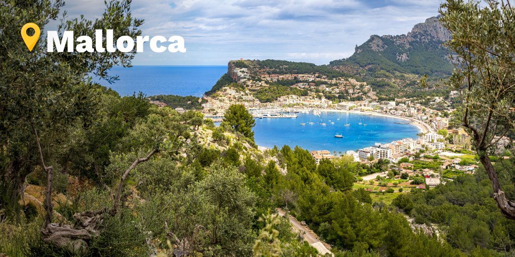 🏝️ Mallorca se explora con tu coche de alquiler.

Recógelo en nuestra oficina del aeropuerto y descubre:

🌀 Cuevas del Drach
🌅 Mirador de Sa Foradada
🏖️ Caló des Moro
🌄 Ruta de la Serra de Tramuntana
Isla, curvas y libertad. ¿Arrancamos?