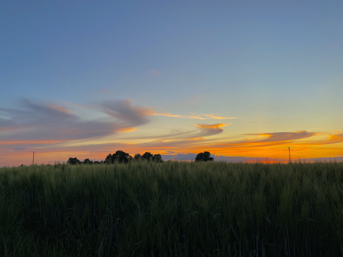 mywildfloweeer's tweet photo. życie jest ostatnio piękne https://t.co/vSd2Gw8ABZ