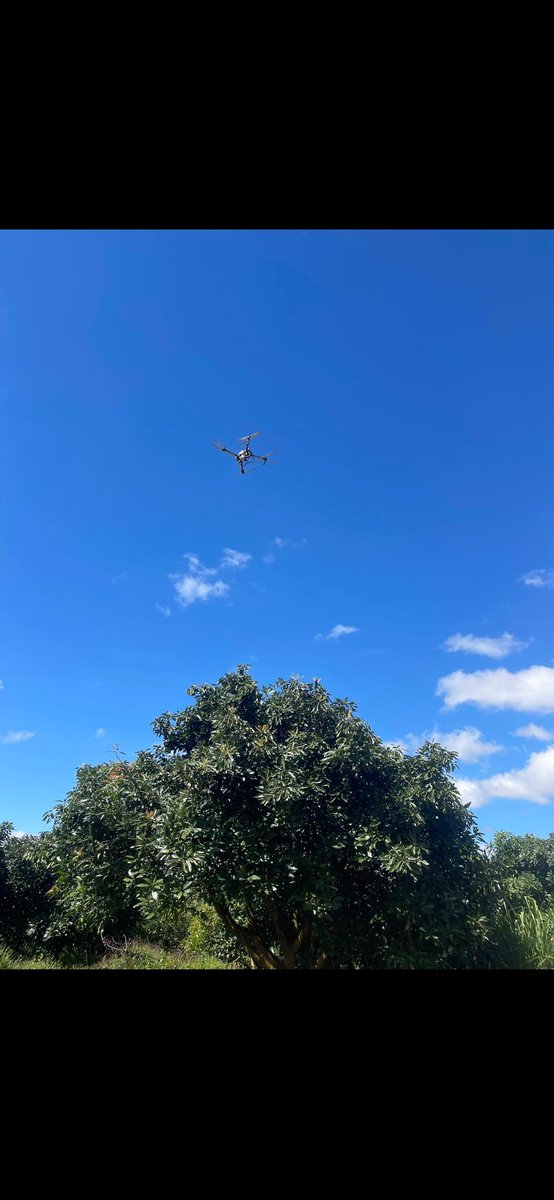 Usalama kwa mkulima: Unyunyiziaji hufanywa kwa mbali, hivyo mkulima hawasiliani moja kwa moja na kemikali.
Ufanisi wa hali ya juu: Teknolojia hii hupunguza upotevu wa dawa na huongeza matokeo bora ya mazao.