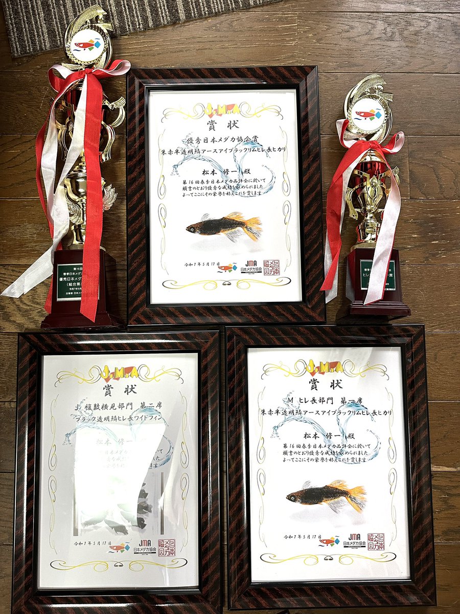 medaka_matsuya's tweet photo. リク店長がドックショーに出て受賞したみたいな写真になってしまいましたが、第16回春季日本メダカ品評会で賞を頂きました🏆
授賞式には出席できませんでしたが、本日トロフィーと賞状が届き、ようやく実感が湧いてきております。
日本メダカ協会の方々、ありがとうございました🙇‍♂️

#日本メダカ協会 https://t.co/ldlQNSkqSC