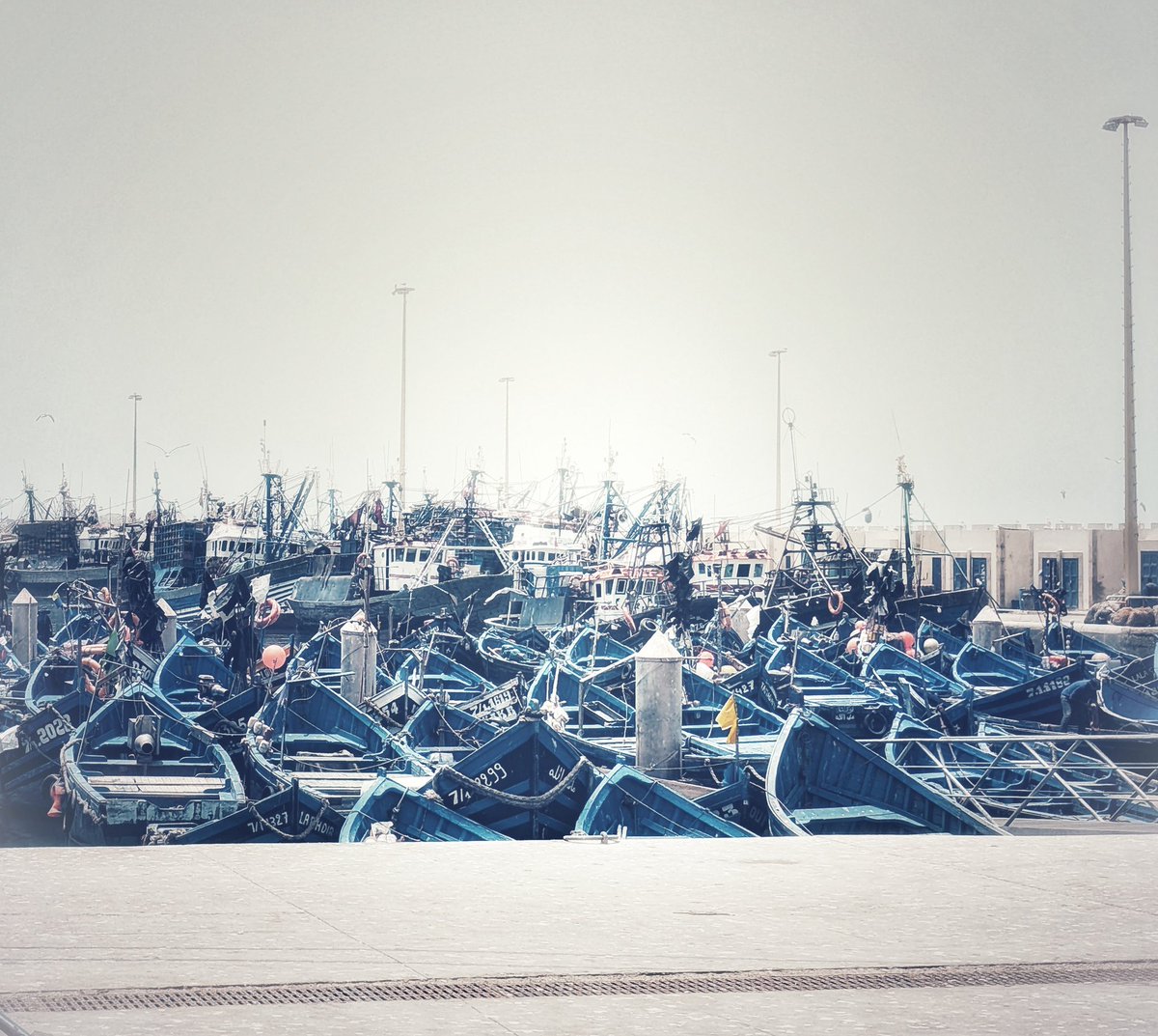 Duncan E. Y. Whyte tweet media