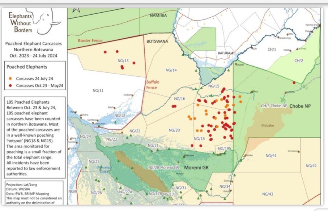 #Botswana: Sharp Rise in #Elephant #Poaching – 
☝🏼"Someone is Neglecting Something Here"
Elephant poaching in northern Botswana has increased dramatically, without authorities being particularly concerned about the reports. ⬇️

👓
allafrica.com/view/group/mai…
