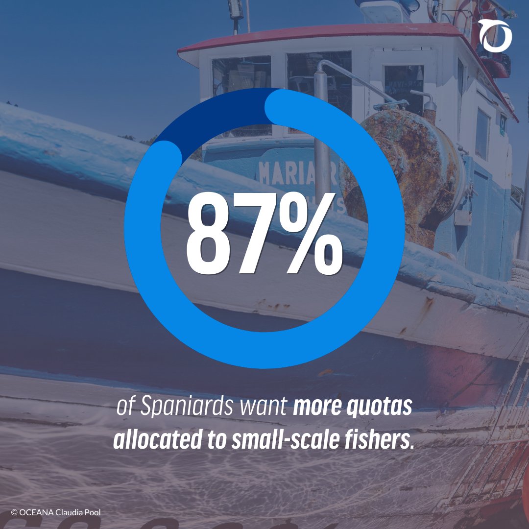 OceanaEurope's tweet photo. NEWS! 87% of Spaniards want more quotas for small-scale fishers to:

🎣 Protect local jobs
🦐 Ensure fresh, local seafood
🌊 Safeguard the ocean

As Spain prepares to develop its allocation criteria, citizens are clear! #MakeFishingFair

More: https://t.co/phouzvqMRf https://t.co/5lGGzXFyIG