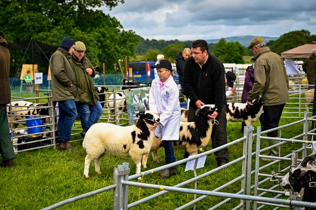 ScottBrerton's tweet image. It's the annual Great Harwood Agricultural Show today, a fantastic Bank Holiday day out.