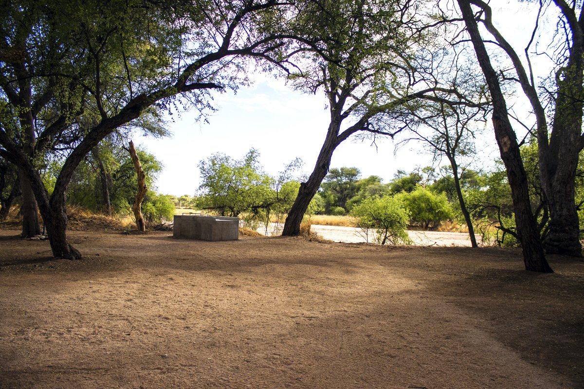Escape to tranquillity at TimBila Camp Namibia, where peaceful campsites are dotted along the ephemeral Omaruru River. Relax beneath the shade of beautiful trees and enjoy the convenience of private ablution facilities at each site. Your perfect weekend getaway awaits!