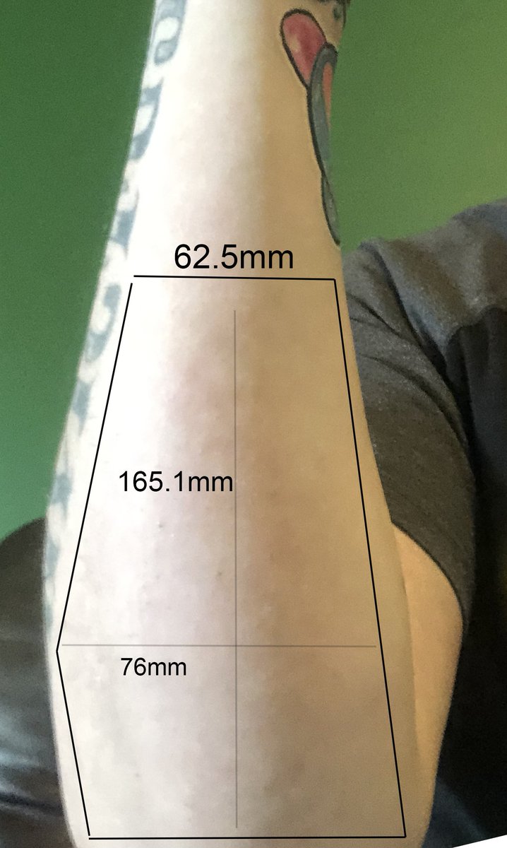 tdbee123's tweet image. NFTs as Real World Assets: Bishop's Tattoo Lots
Who remembers these from 2020? Where the fuck did that guy go? I still own the tattooing rights to these areas of his body