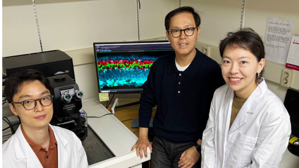 South Korean study aims to reverse #retinal damage - #Optician Online opticianonline.net/content/news/s…