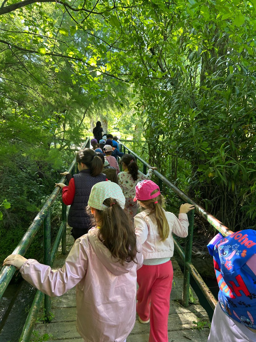 hermanos_pinzon's tweet image. Los grupos de 4 años hemos disfrutado muchísimo de la excursión de la casa de campo. Ha sido genial....