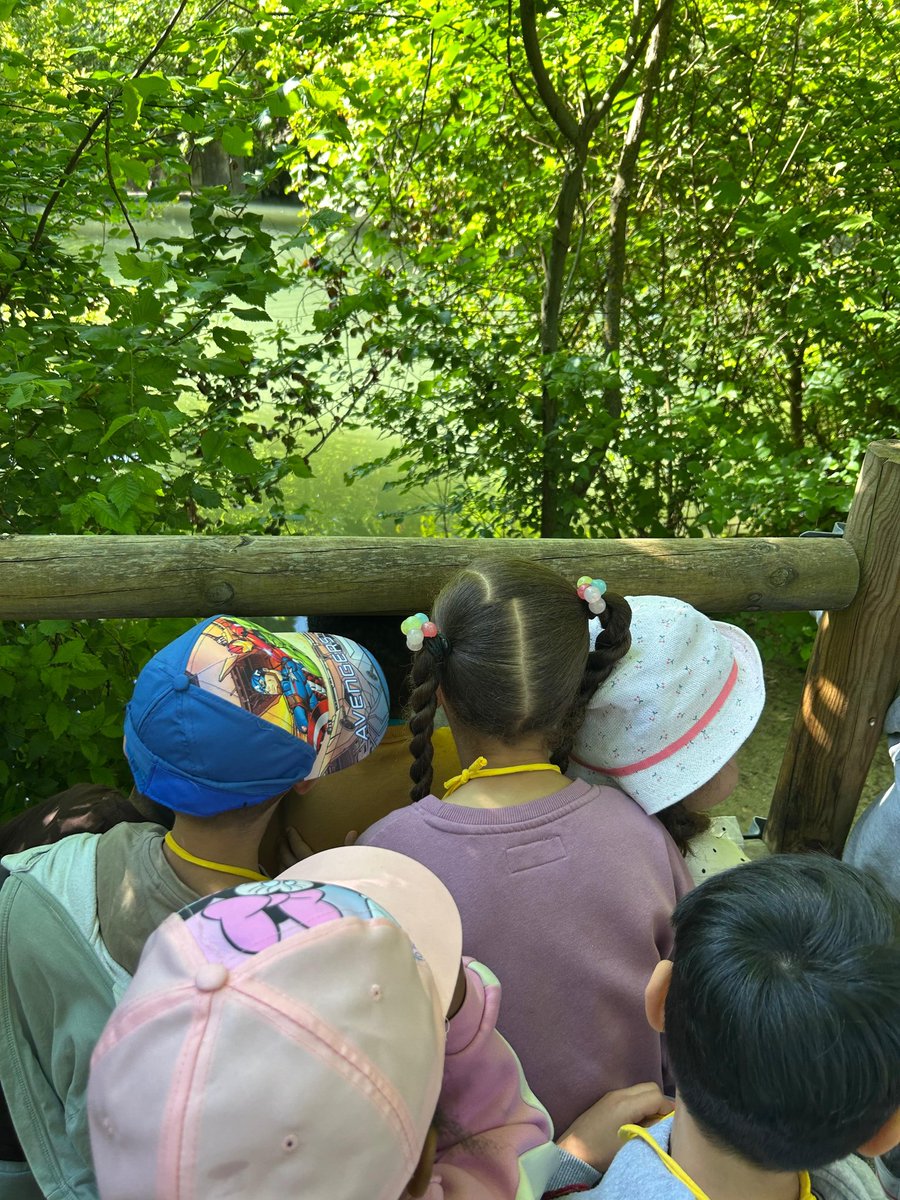 hermanos_pinzon's tweet image. Los grupos de 4 años hemos disfrutado muchísimo de la excursión de la casa de campo. Ha sido genial....