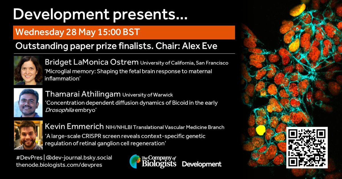 Development (@dev_journal) on Twitter photo *This Wed 28 May 15:00 BST* Register to our Development presents... webinar, celebrating the finalists of Development's 2024 outstanding paper prize. We'll hear from first authors Bridget LaMonica Ostrem, <a href="/Thamarailingam0/">A. Thamarailingam</a> & <a href="/KevinEmmerich3/">Kevin Emmerich</a>.
us02web.zoom.us/webinar/regist⦠*This Wed 28 May 15:00 BST* Register to our Development presents... webinar, celebrating the finalists of Development's 2024 outstanding paper prize. We'll hear from first authors Bridget LaMonica Ostrem, <a href="/Thamarailingam0/">A. Thamarailingam</a> & <a href="/KevinEmmerich3/">Kevin Emmerich</a>.
us02web.zoom.us/webinar/registā¦