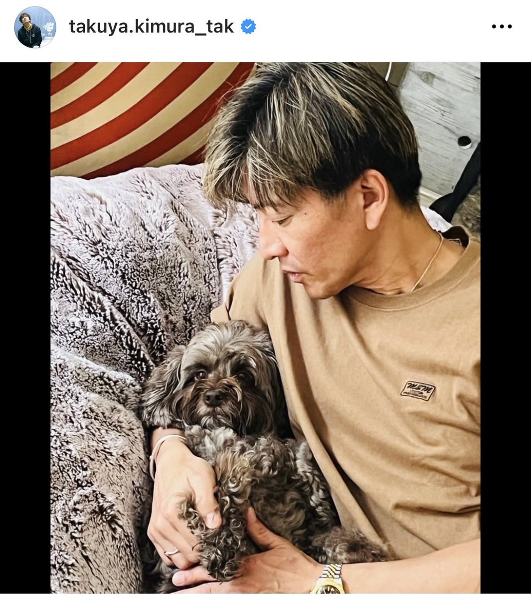 MASSES　TAM　ニットタム　マスタード　MUSTARD　木村拓哉 MASSES TAM ニットタム マスタード MUSTARD 木村拓哉 第7弾