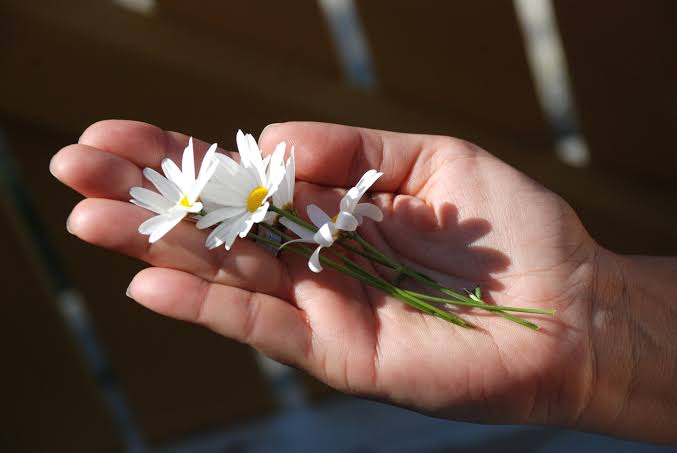 "Kimsenin baharında gözü olmayanın
bahçesi hep çiçek açar."