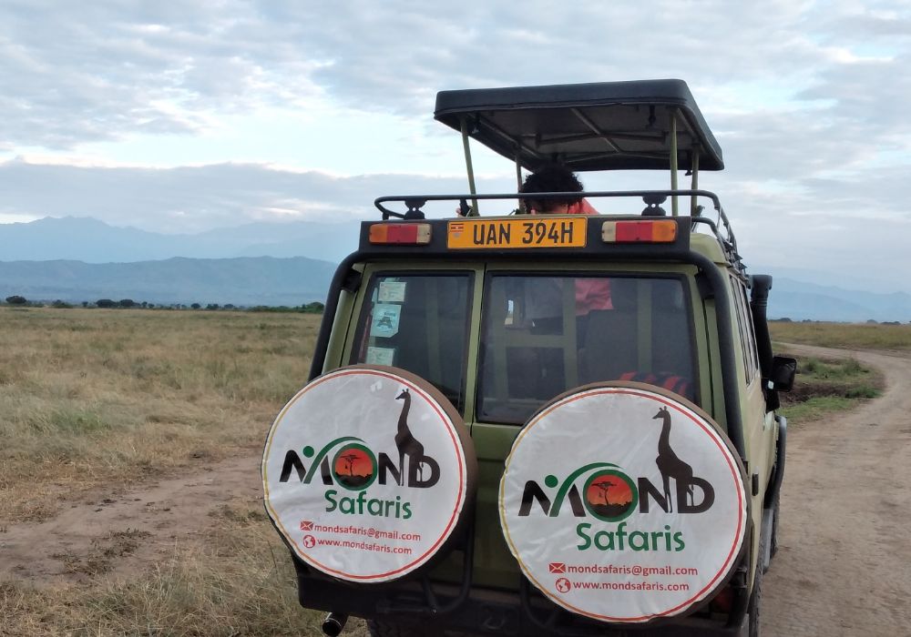 MondUganda's tweet photo. 🇬🇧✈️ Calling all UK adventurers!

Exciting news — Uganda Airlines has launched direct flights from Entebbe International Airport to London Gatwick!

Now it’s easier than ever to explore the breathtaking beauty of Uganda and the wonders of East Africa.

https://t.co/b1TbU0FIll https://t.co/VhjV5ww7T4