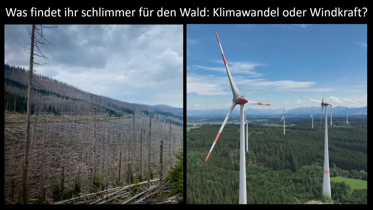 Prof. Stefan Rahmstorf 🌏 🦣 tweet media