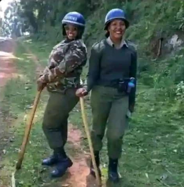 "Ghaaii woiyee acha tu nikusamee"