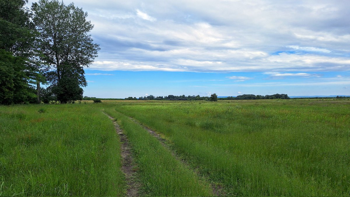 Ciprian DC 🇷🇴 (@ciprian2709) on Twitter photo 