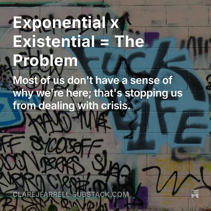 Most of us don't think much about why we're here. We've abandoned institutions that help us have those conversations about what being means.

In the midst of a crisis that's existential AND exponential, to me it's catastrophic not to talk about why we are: clarejfarrell.substack.com/p/exponential-…