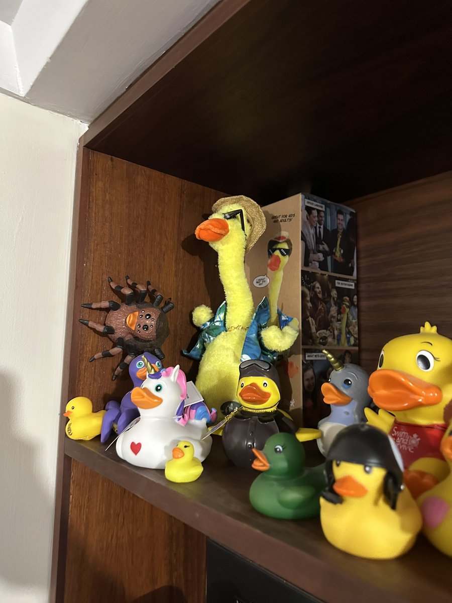 I was reordering the duck shelf (as one does) and thought to myself, what if I put the tarantula duck on the wall?
Best decision I’ve ever made