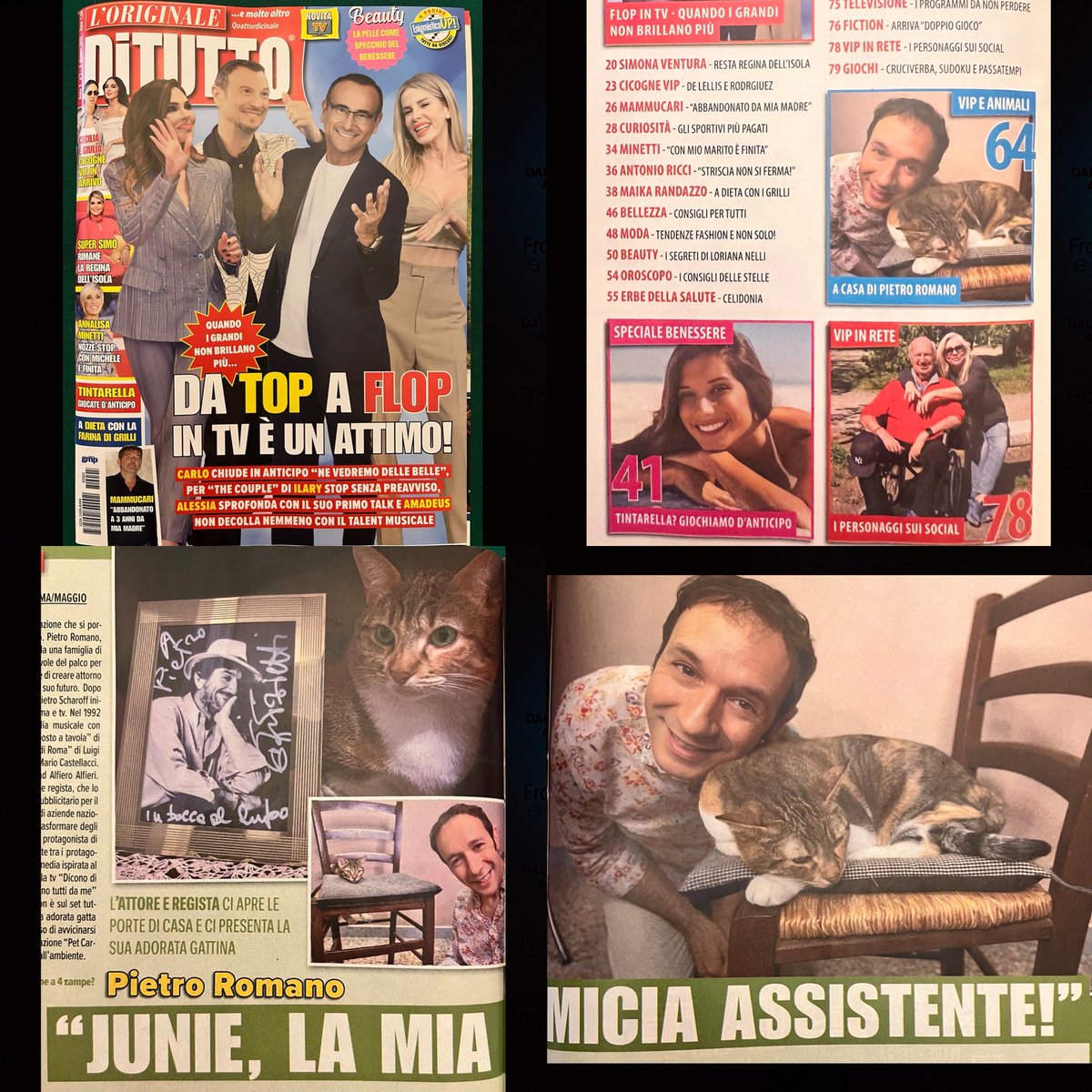 PietroRomano33's tweet image. Tutti in #edicola 🗞️

Sul quattordicinale “#DiTUTTO” si parla di #Junie la micia del mio ❤️ 

Thanks to #FedericaRinaudo ✨

🏷️ #PietroRomano #Actor #Ciak #Cinema #Comedy #Commercial #Fiction #Film #Movie #Set #Spettacolo #Spot #Theater #Tv #Video #Smile #Cats #Roma