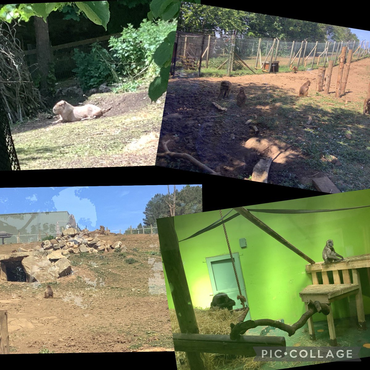 DeanburnPS P7A tweet media